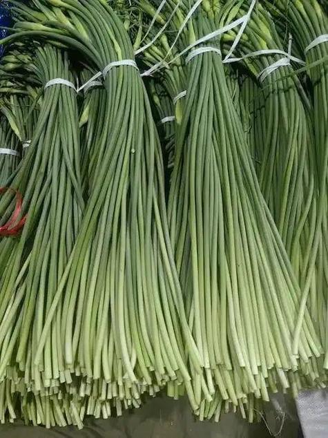 蒜薹分几种截图