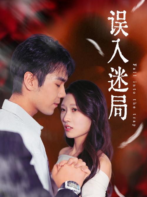 误入迷局