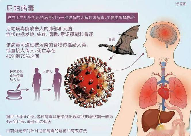 为什么手机突然弹出其他软件