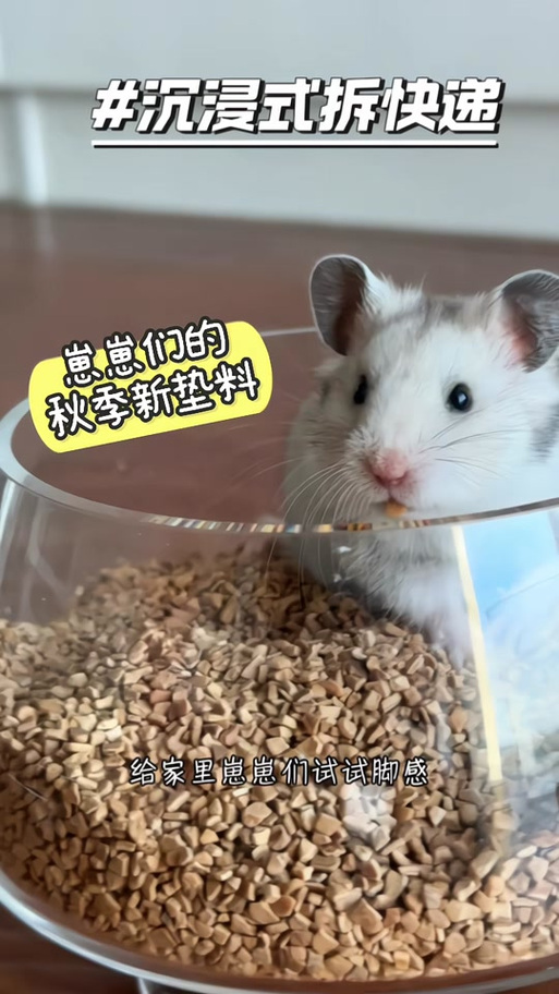 仓鼠用核桃砂还是木屑好