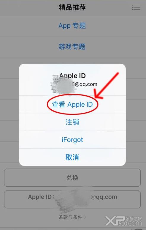 apple store 自动扣款哪里取消