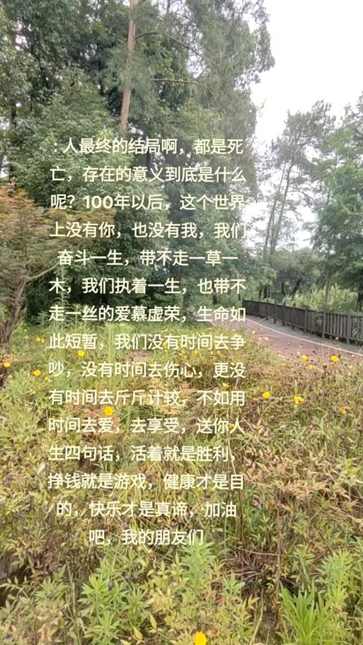 经典语录伤感人生感悟缩略图