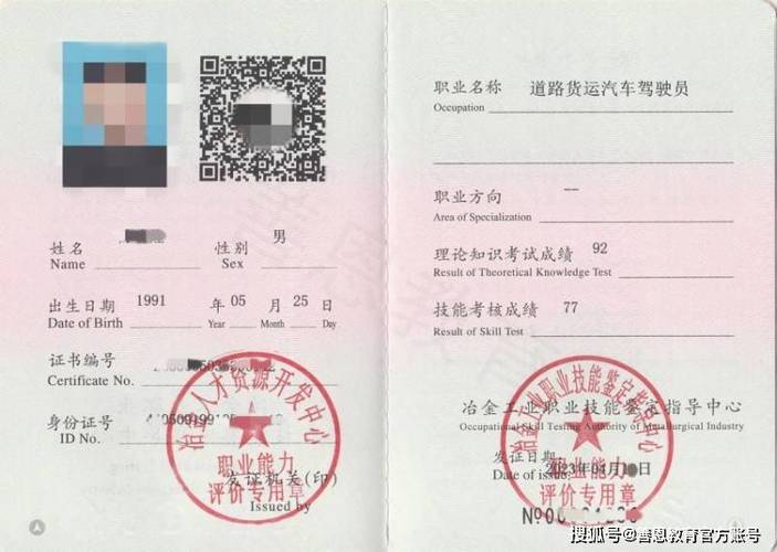 驾驶员从业资格证网上申请游戏截图