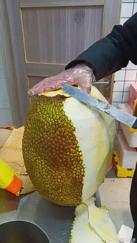 菠萝蜜为什么刷石灰