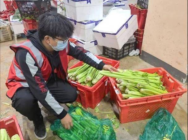 多多团长怎么赚钱截图