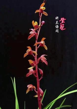 什么叫添香