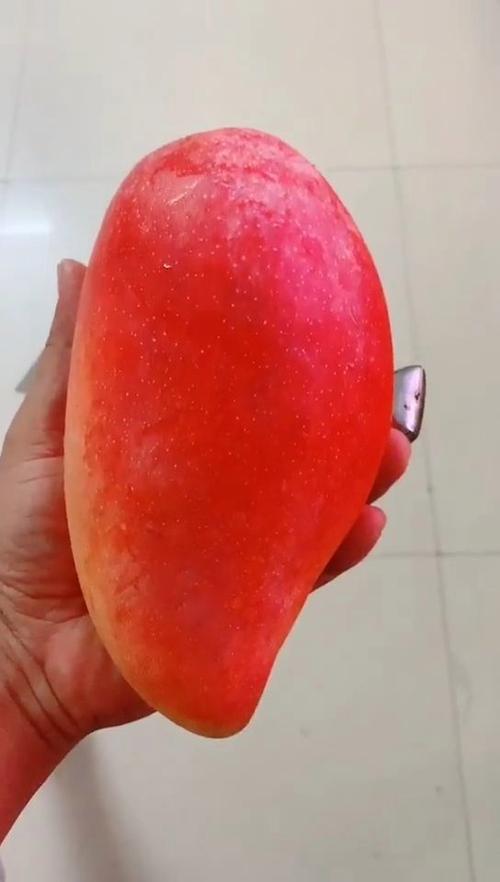 红色芒果