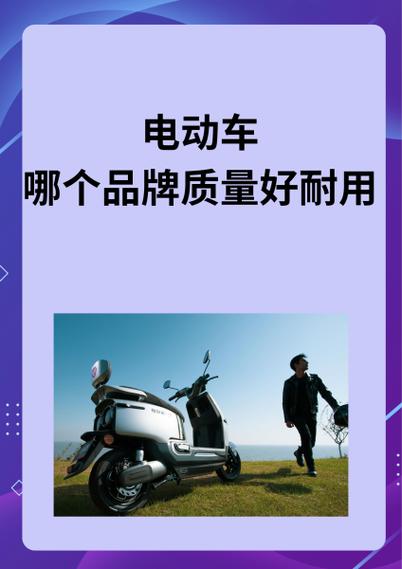 王派电动车售后电话