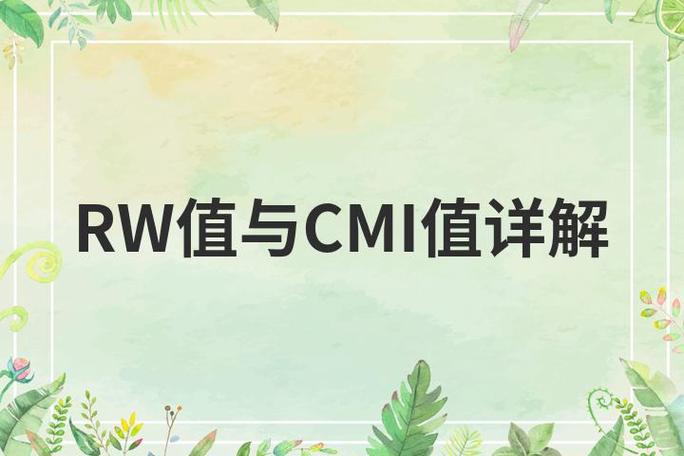 cmi编码规则
