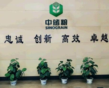 中储粮网交易平台图标