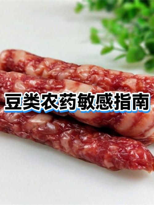 大豆过敏包含哪些豆类