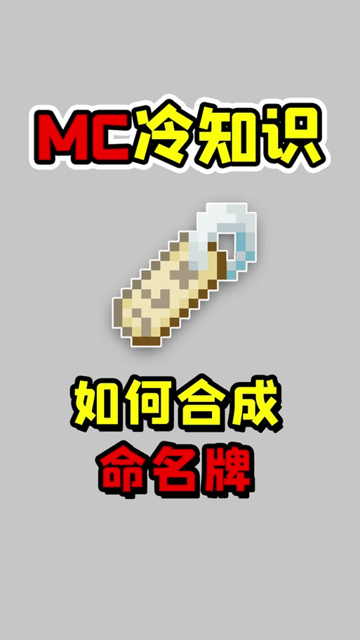 网易版我的世界命名牌