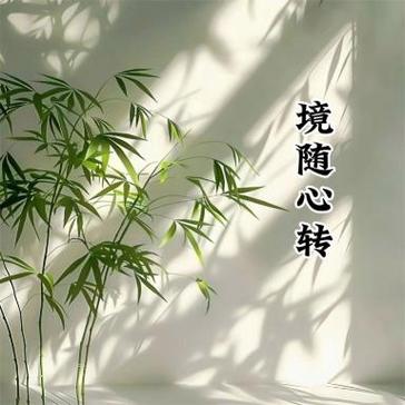 为什么要境随心转