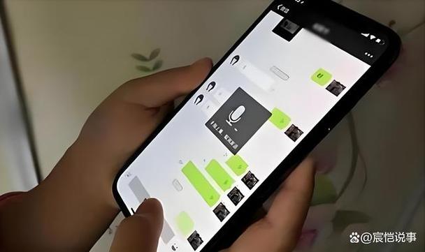 匿名语音聊天截图