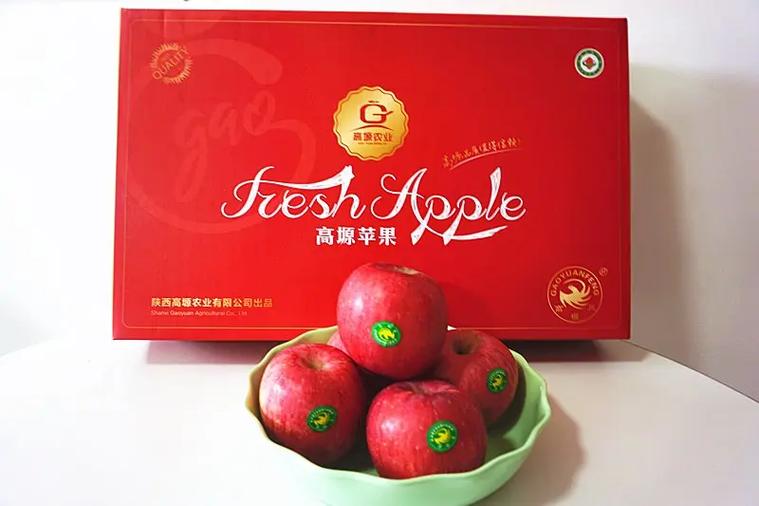 薪果图标