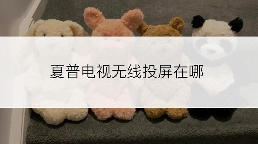 夏普电视无线投屏在哪截图