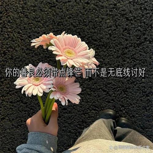 2026年经典句子精选