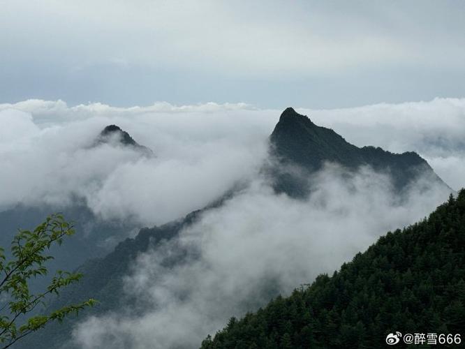 中国10大山排名缩略图