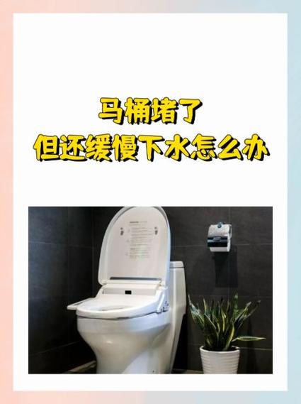 马桶隔三差五就堵了什么原因