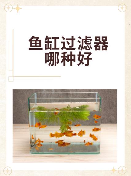 养鱼过滤器哪种最好