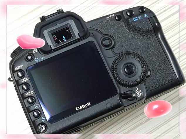 佳能5d2和6d哪个好缩略图