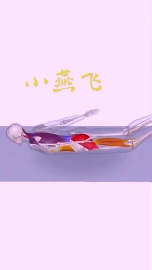 燕子贴墙飞是啥姿势