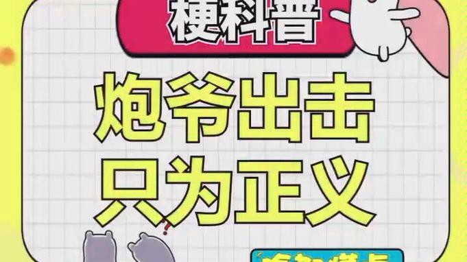 炮爷出击2017年的视频