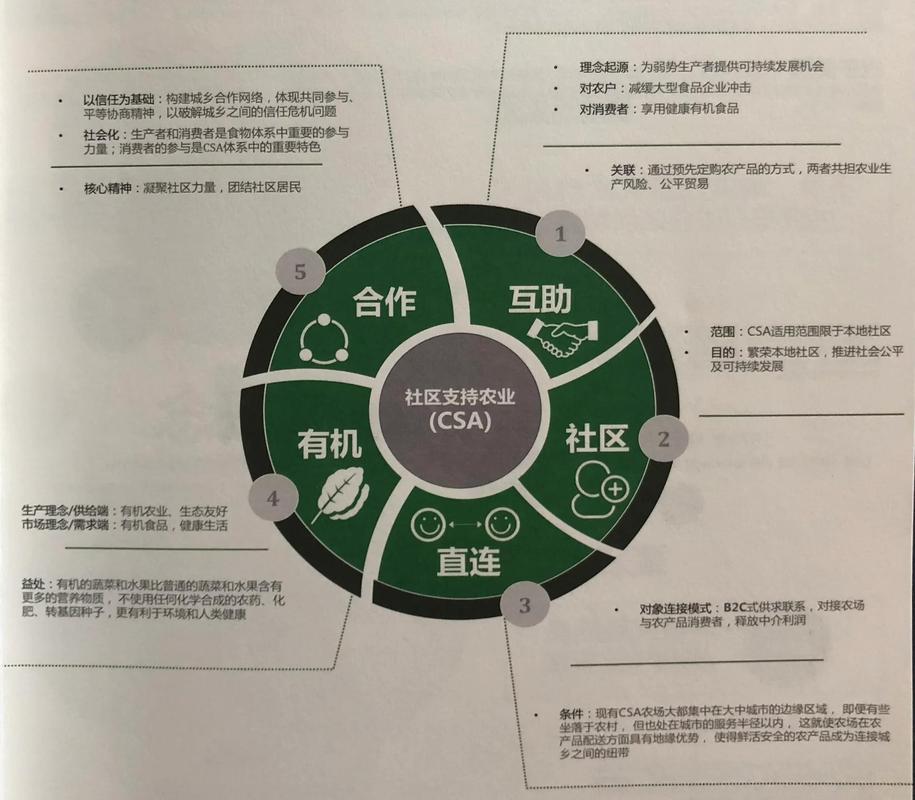 csa农业模式截图