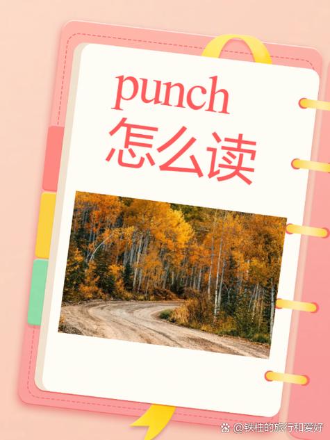 punch在情侣间的意思截图