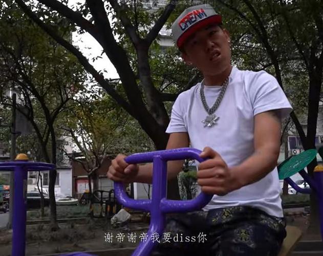 你被diss了啥意思