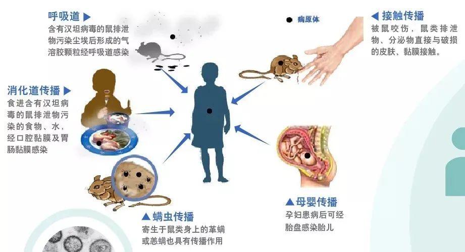 模拟传染病的传播