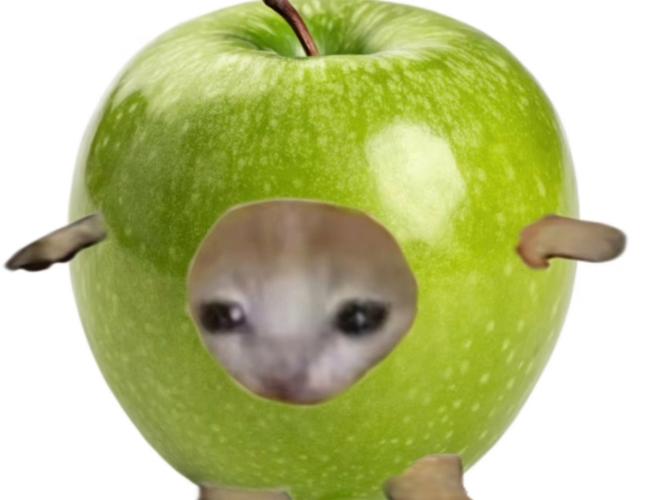 苹果版猫咪最新版本