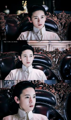 小丁猫是不是好的