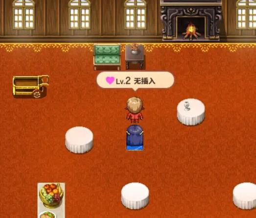 淑女骑士大冒险移植版