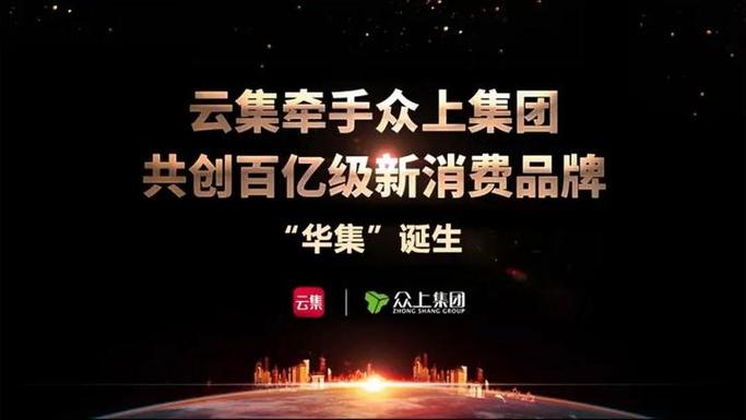 云集集团是干什么的