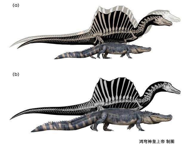 棘背龙和普鲁斯鳄谁更厉害