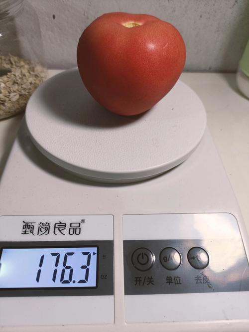 西红柿能量