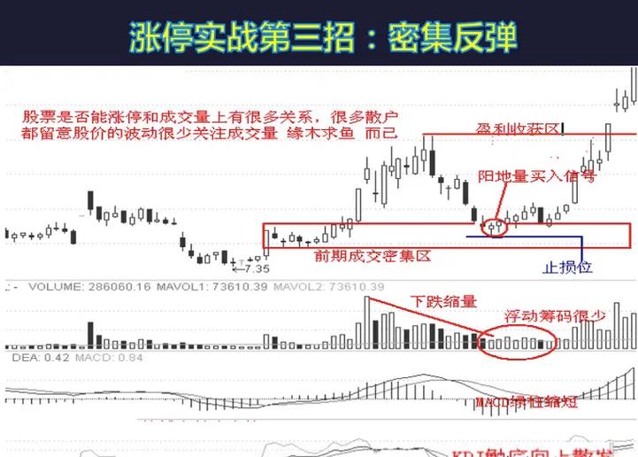 尾盘选股器下载游戏截图