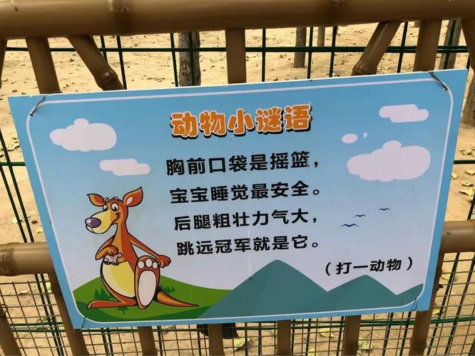动物园谜语大全