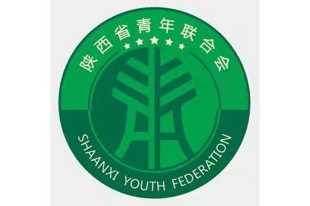 青年联合会是什么组织