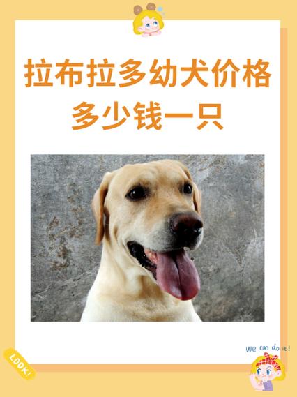 五红犬多少钱一只幼犬