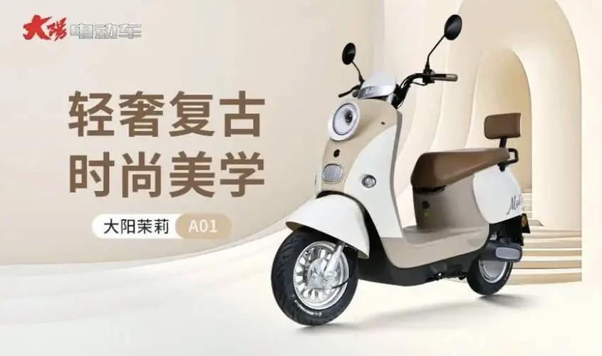 大阳电动车质量怎么样图标