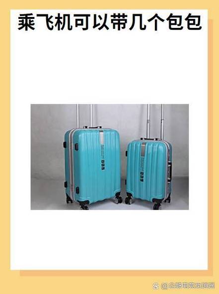 乘坐飞机能带多少行李游戏截图