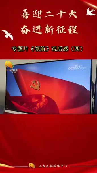 领航观后感