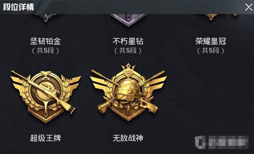 和平精英怎么看别人几排