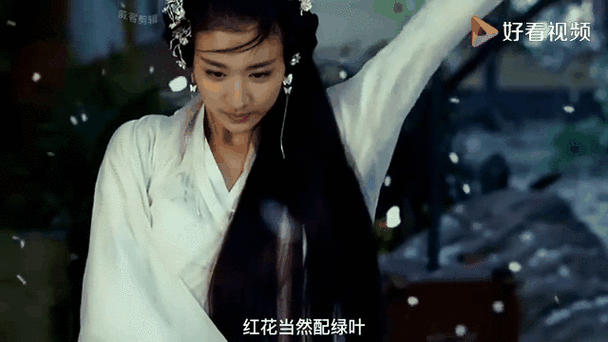 爱江山更爱美人艾兰迪结局