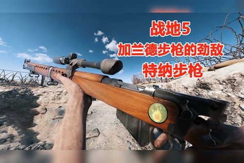 战地五自动步枪变单发图标