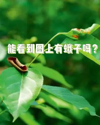 全民k歌怎么隐藏粉丝和关注游戏截图