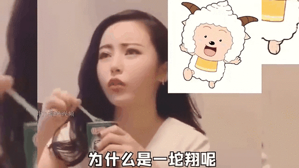仙女的神回复段子截图