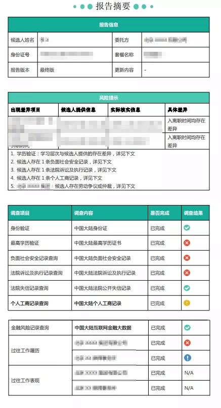 i背调报告样本